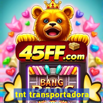 tnt transportadora